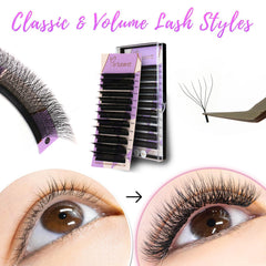 W-Shape Effect Eyelash Extensions with 6D Clovers【D Curl, 8-15mm】- Voluminous & Fluffy Technological Fibers