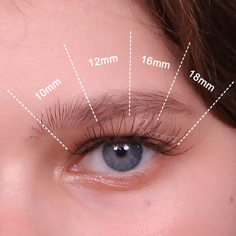 DIY 10D Volume Fans Lashes