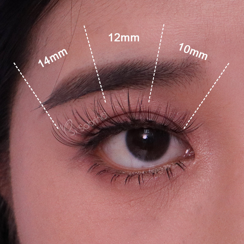 DIY 10D Volume Fans Lashes