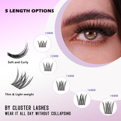 DIY Hybrid Look Eyelas Kit 1#