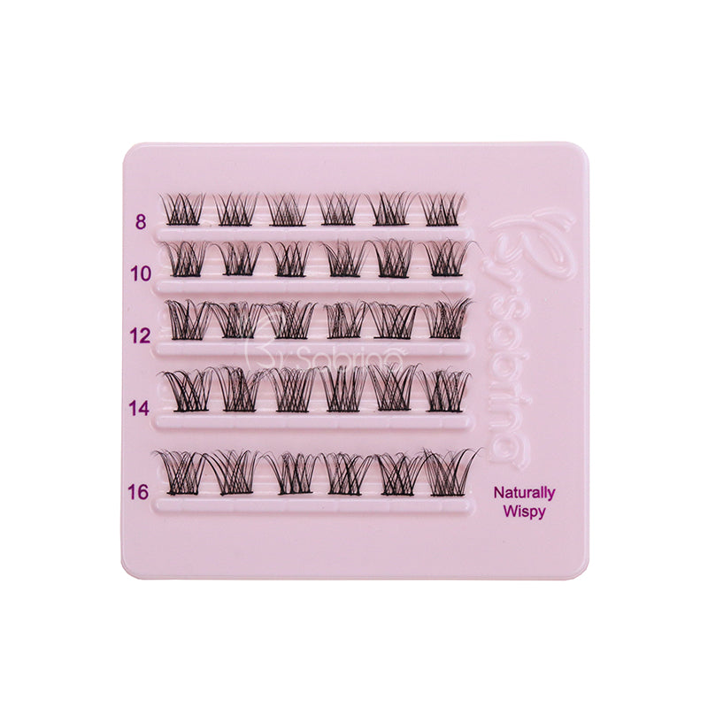 Naturally Wispy Wispy Silk Lashes