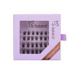 Phal Speciosa GLUELESS LASHES