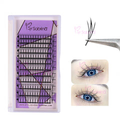 Wispy Anime Lashes Fluffy Tower Tip Premade Volume Eyelash Extensions #Type D